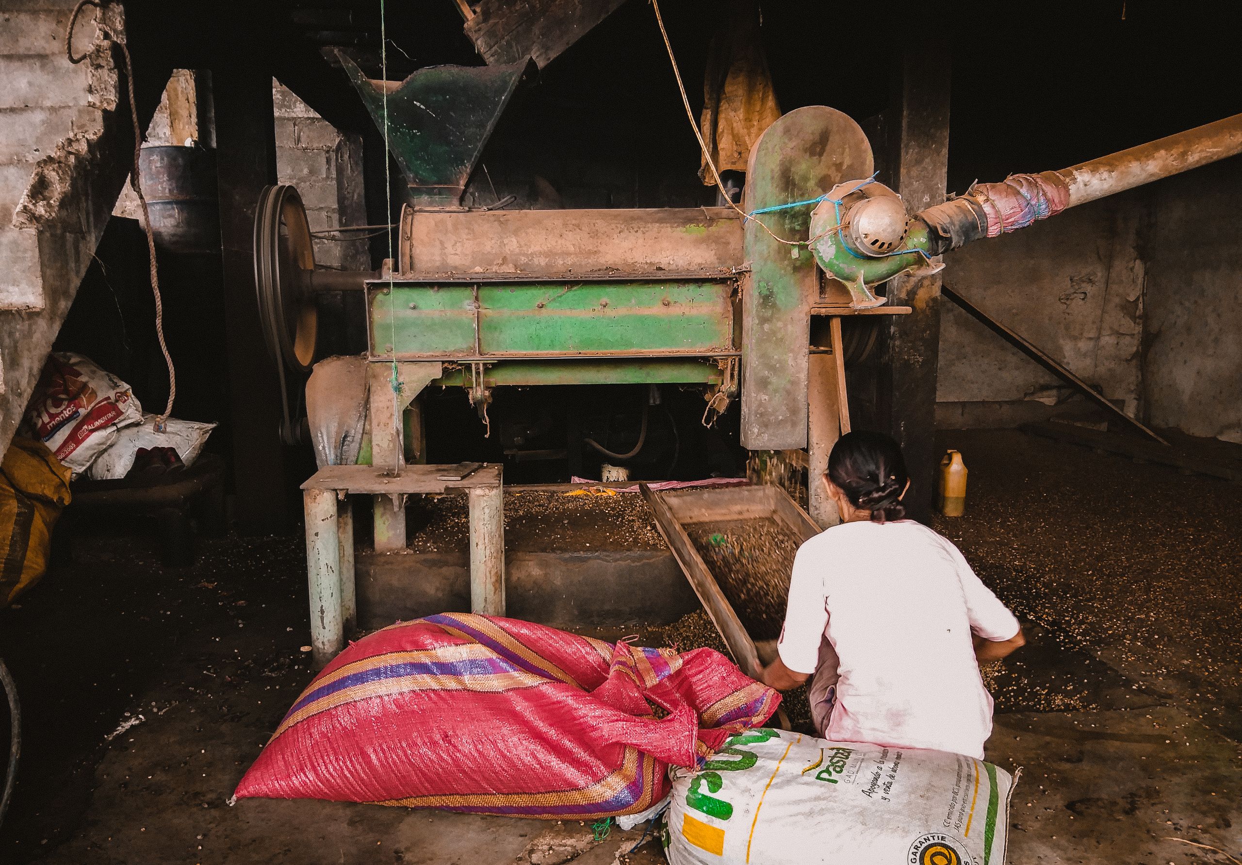 Molino de granos en operacion - procesamiento industrial de arroz y cereales