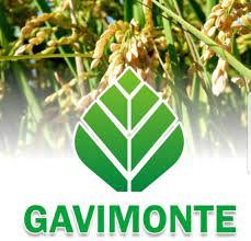 Gavimonte